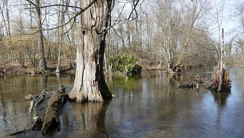 Idyllisch: die Würm. Idyllisch: die Würm.