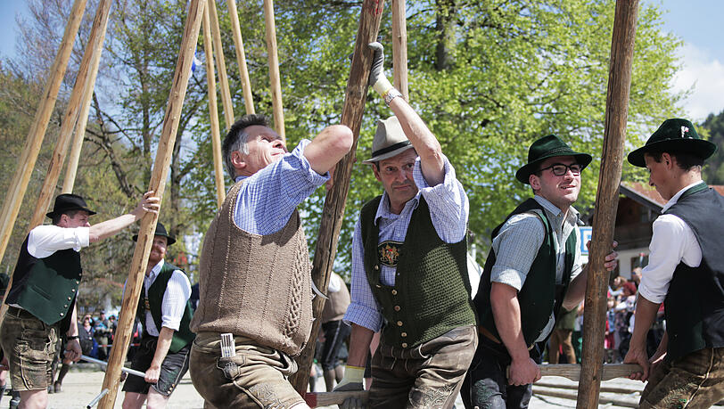 Daraus wird dieses Jahr nichts: Mitglieder vom Gebirgstrachten-Erhaltungsverein "D'Leonhardstoana" stellen einen Maibaum mithilfe von "Schwalben" auf. Das sind mit Seil verknotete Stöcke. (Archivbild) Daraus wird dieses Jahr nichts: Mitglieder vom Gebirgstrachten-Erhaltungsverein "D'Leonhardstoana" stellen einen Maibaum mithilfe von "Schwalben" auf. Das sind mit Seil verknotete Stöcke. (Archivbild)