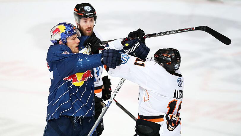 Meisterschaftsfavorit der DEL: Frank Mauer (li.) und der EHC München. Meisterschaftsfavorit der DEL: Frank Mauer (li.) und der EHC München.