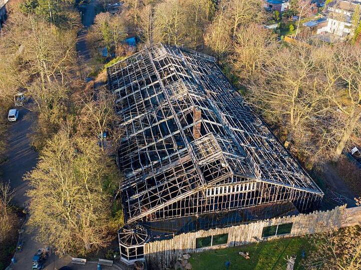 Bei dem Feuer im Affenhaus des Krefelder Zoos waren in der Silvesternacht mehrere Menschenaffen gestorben, darunter Orang-Utans, Gorillas und ein Schimpanse.
