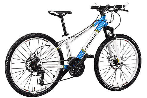 Der Mountainbikefahrer prallte gegen ein geparktes Auto.