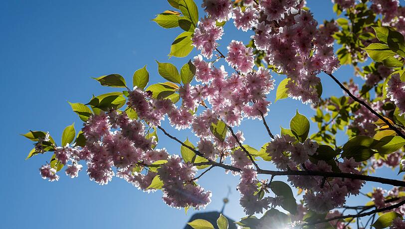 Die Sonne scheint fast &uuml;berall den ganzen Tag. (Archivbild)
