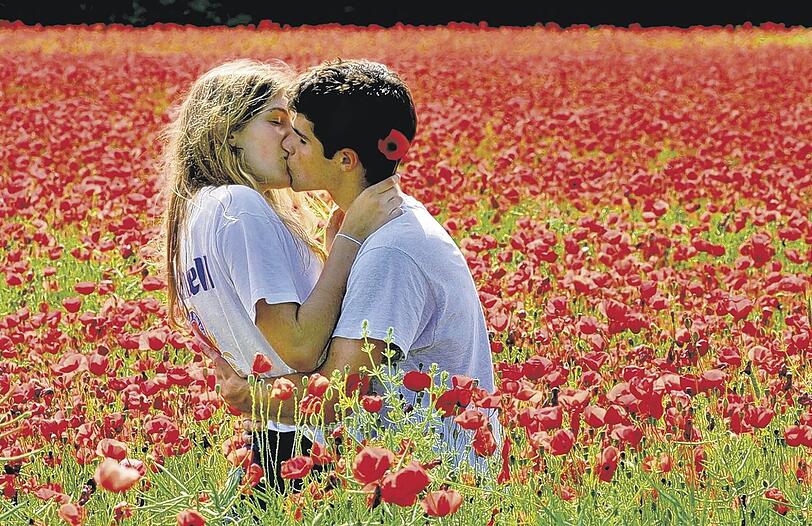 Romantik im Klatschmohnfeld: Wer im Internet auf Partnersuche geht, findet Kontaktbörsen für praktisch jede Zielgruppe. Foto: ddp