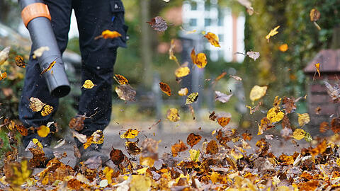 Zürich hat ein Verbot für Benzinlaubbläser beschlossen. In München ist der Einsatz solcher Geräte lediglich zu den üblichen Ruhepausen verboten.