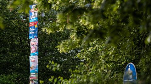 Wahlplakate der AfD stapeln sich übereinander an einer Laterne. (Archivbild)