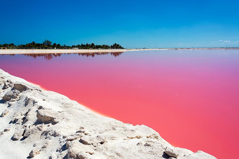 Es wirkt wie aus einem Märchenfilm entsprungen, doch diese Kulisse aus weißem Sand, blauem Himmel und pinkem Wasser gibt es wirklich, und zwar auf der Halbinsel Yucatan in Mexiko. Im sehr salzhaltigen See befindet sich eine hohe Konzentration an Mikroorganismen, wodurch das färbende Beta Carotin entsteht. Es wirkt wie aus einem Märchenfilm entsprungen, doch diese Kulisse aus weißem Sand, blauem Himmel und pinkem Wasser gibt es wirklich, und zwar auf der Halbinsel Yucatan in Mexiko. Im sehr salzhaltigen See befindet sich eine hohe Konzentration an Mikroorganismen, wodurch das färbende Beta Carotin entsteht.