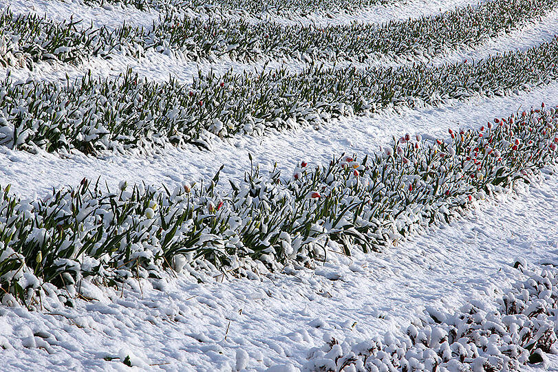 Weitere Schneebilder aus Bayern und Deutschland.
