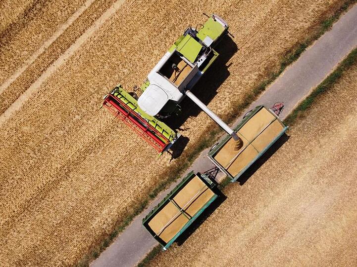 Ein Landwirt erntet mit einem Mähdrescher Wintergerste. Foto: Henning Kaiser/dpa/Symbolbild