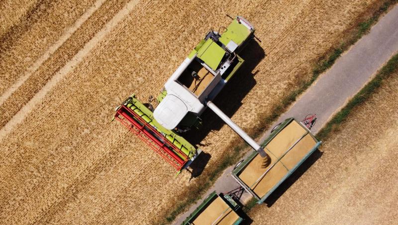 Ein Landwirt erntet mit einem Mähdrescher Wintergerste. Foto: Henning Kaiser/dpa/Symbolbild Ein Landwirt erntet mit einem Mähdrescher Wintergerste. Foto: Henning Kaiser/dpa/Symbolbild