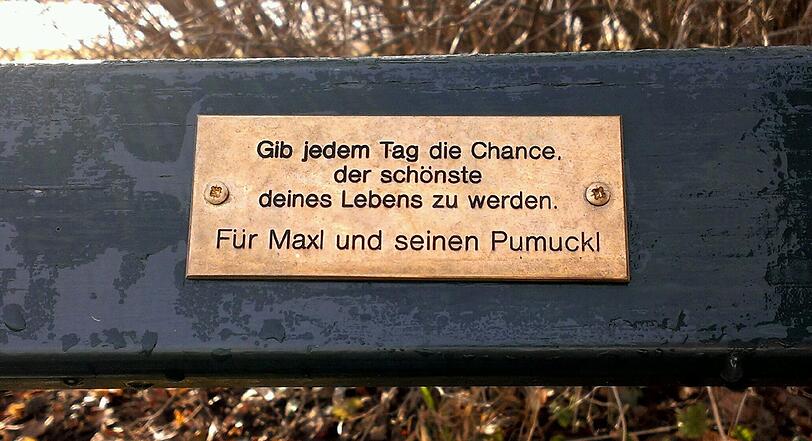 Im Englischen Garten und Nymphenburger Schlosspark haben Münchner tausende Plaketten mit Widmungen auf Parkbänken angebracht.