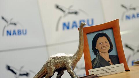 Wenig schmeichelhafte Auszeichnung: Naturschützer sehen Ilse Aigner als Dinosaurier - wegen ihrer "rückwärtsgewandten" Politik.