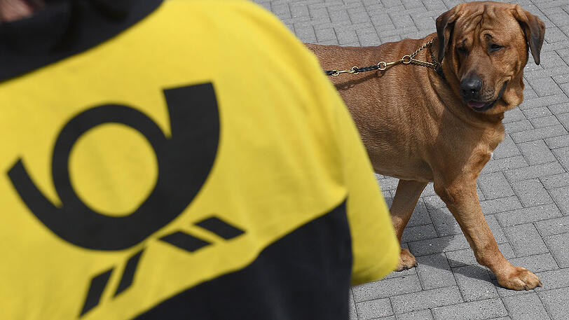 Hundetraining: Dieser Hund soll lernen, dass ein Postboten kein Feind ist.