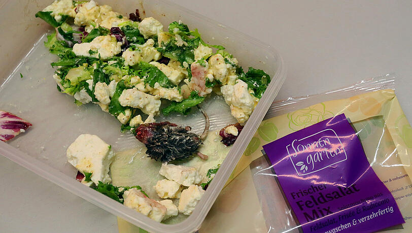 Zugegeben, so ein Bild möchte man zum Frühstück eigentlich nicht sehen. Zum Mittagessen auch nicht. Thorsten G. hat sich dieser Anblick geboten, er hat ihn dokumentiert und die Behörden eingeschaltet. Zugegeben, so ein Bild möchte man zum Frühstück eigentlich nicht sehen. Zum Mittagessen auch nicht. Thorsten G. hat sich dieser Anblick geboten, er hat ihn dokumentiert und die Behörden eingeschaltet.