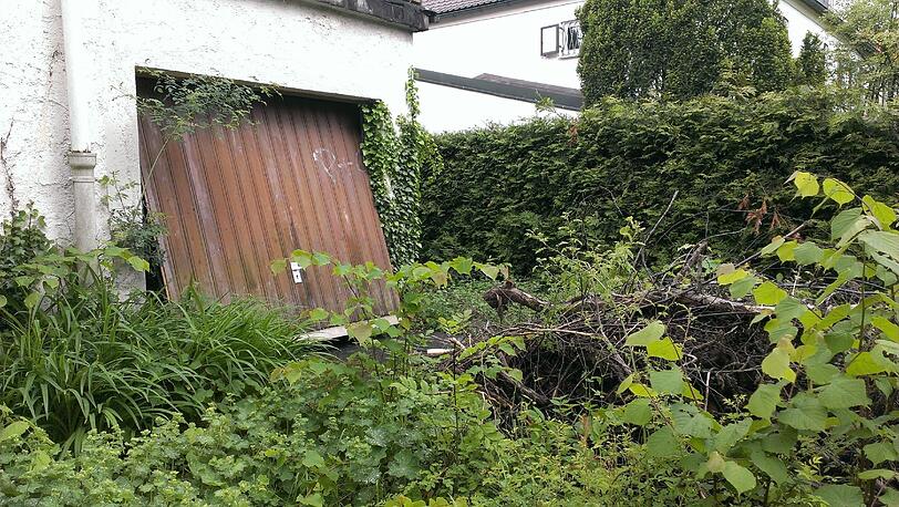 Das Grün im Garten wuchert, das Garagentor steht halb offen.