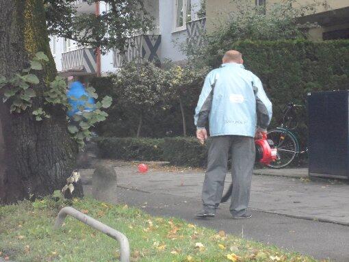 Jetzt fällt wieder Herbstlaub. Aber wohin damit?