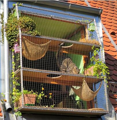 Der "Katzenbalkon" in Fritzis Katzenpension in Berg am Laim... Der "Katzenbalkon" in Fritzis Katzenpension in Berg am Laim...