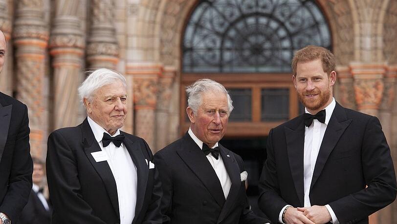 Prinz Harry mit Vater Charles und David Attenborough (li.) im Jahr 2019.