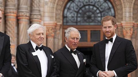 Prinz Harry mit Vater Charles und David Attenborough (li.) im Jahr 2019.