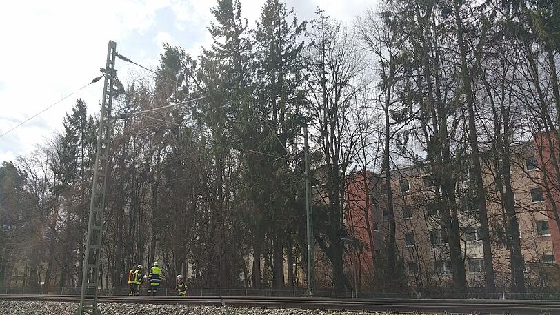 Auf der Strecke S3 Richtung Mammendorf fiel aufgrund von Sturm Niklas ein Baum in die Oberleitung. Die Bilder.