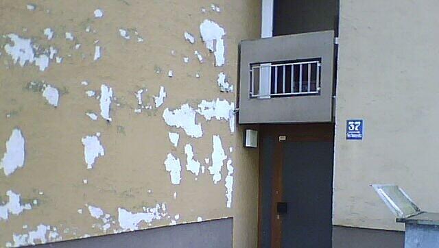 Schön hier zu wohnen? Ein Leserfoto aus Neuhausen.