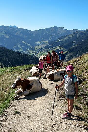 Mit der richtigen Ausrüstung ist die Bergwelt auch für Kinder ein traumhaftes Erlebnis.