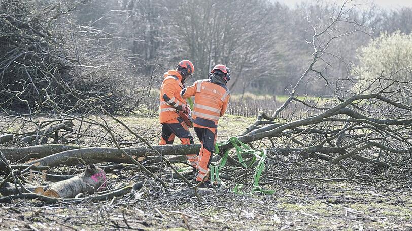 Bei Aufräumarbeiten in Alzenau wird ein Forstarbeiter schwer verletzt. (Symbolfoto)
