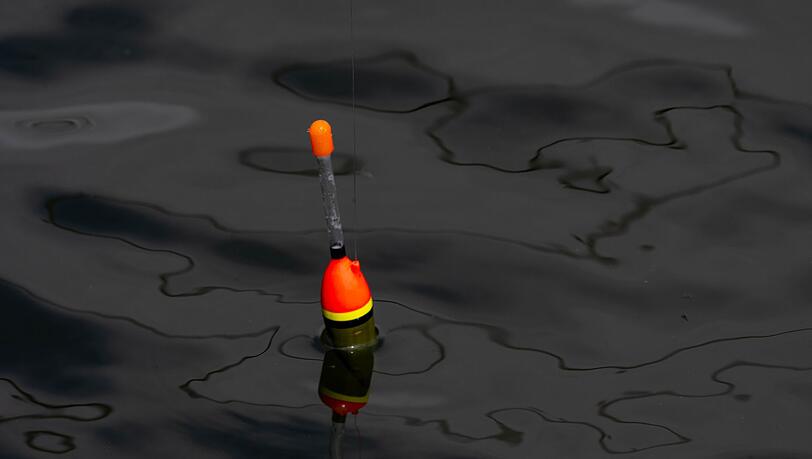 Einen 34 Zentimeter großen lebenden Fisch fand die Polizei an der Angel des Jugendlichen. (Symbolbild) Einen 34 Zentimeter großen lebenden Fisch fand die Polizei an der Angel des Jugendlichen. (Symbolbild)