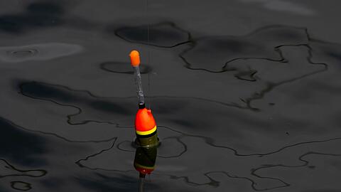 Einen 34 Zentimeter großen lebenden Fisch fand die Polizei an der Angel des Jugendlichen. (Symbolbild)