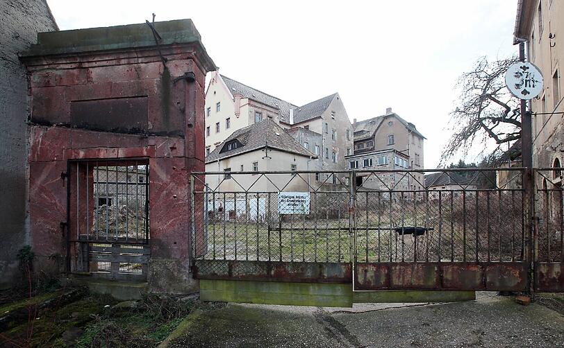 Das Schloss Sahlis in Sachsen kommt unter den Hammer. Karl-Heinz Hoffmann kann sich den Unterhalt des historischen Gebäudes nicht mehr leisten.