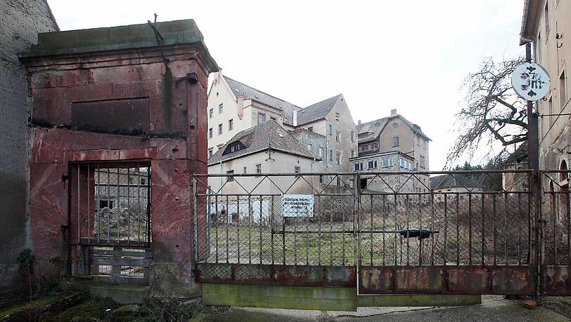 Das Schloss Sahlis in Sachsen kommt unter den Hammer. Karl-Heinz Hoffmann kann sich den Unterhalt des historischen Gebäudes nicht mehr leisten. Das Schloss Sahlis in Sachsen kommt unter den Hammer. Karl-Heinz Hoffmann kann sich den Unterhalt des historischen Gebäudes nicht mehr leisten.