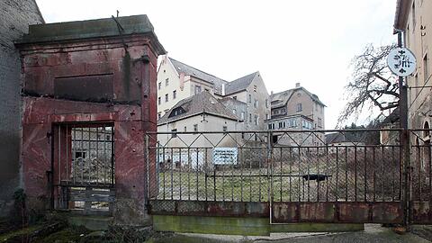 Das Schloss Sahlis in Sachsen kommt unter den Hammer. Karl-Heinz Hoffmann kann sich den Unterhalt des historischen Gebäudes nicht mehr leisten.