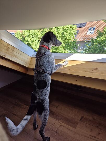 Mia: Sie muss immer alles im Blick haben und alles kontrollieren. Sie hat eine super treue Seele.