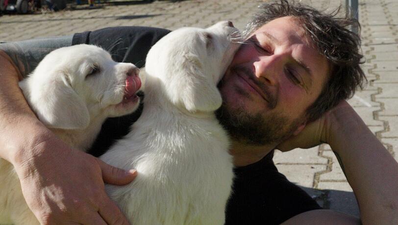 Für Gerd Schuster waren Hunde lange Zeit auch ein Familienersatz.