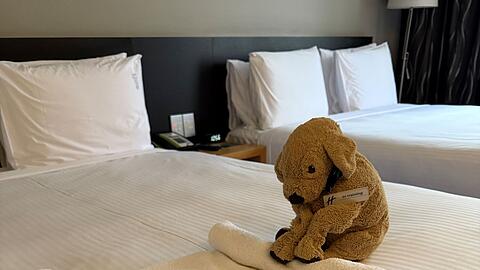 Der kleine Stoffhund Jack macht sich auch im Housekeeping nützlich, wie Hotelmitarbeiter in Posts zeigen.
