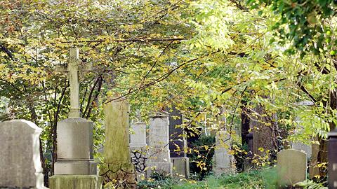 Der Alte Südliche Friedhof hat eine lange Geschichte. Hier ruhen viele bekannte Münchner Persönlichkeiten.