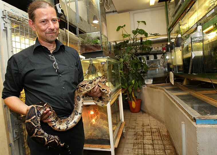 Markus Baur mit einer Boa Constrictor.