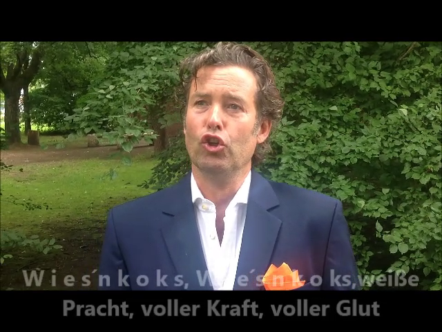 Bilder aus dem Wiesnkoks-Video