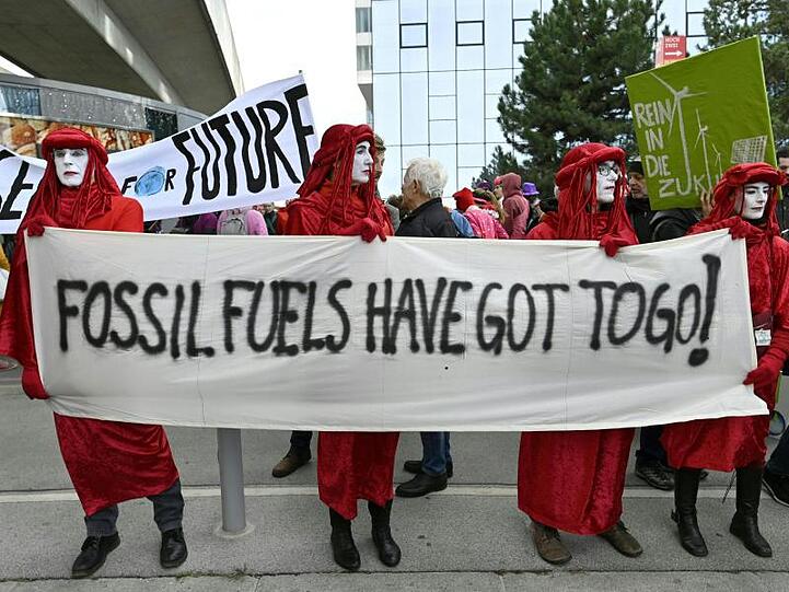 Klimaschutz-Demonstration in Wien.