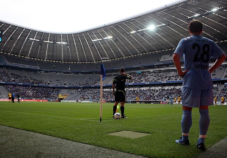 Die Löwen in der Allianz Arena