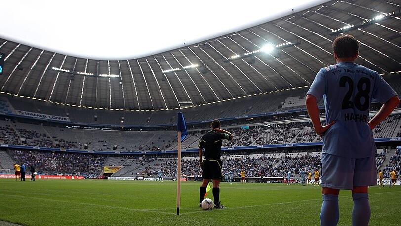 Die Löwen in der Allianz Arena Die Löwen in der Allianz Arena