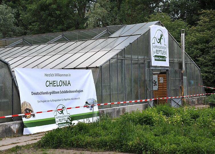 Die Außenstelle ist in zwei ausgedienten Gewächshäusern untergebracht: Wo früher Gemüse reifte, herrschen nun ideale Bedingungen für Reptilien.
