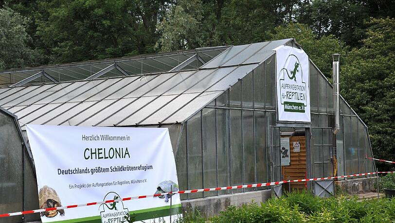 Die Außenstelle ist in zwei ausgedienten Gewächshäusern untergebracht: Wo früher Gemüse reifte, herrschen nun ideale Bedingungen für Reptilien. Die Außenstelle ist in zwei ausgedienten Gewächshäusern untergebracht: Wo früher Gemüse reifte, herrschen nun ideale Bedingungen für Reptilien.