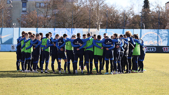 Gelingt den Löwen am Ende dieser Saison der Aufstieg? (Symbolbild)