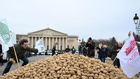 Europ&auml;ische Bauern f&uuml;rchten einen harten Preiskampf mit den s&uuml;damerikanischen Farmern. (Archivbild)