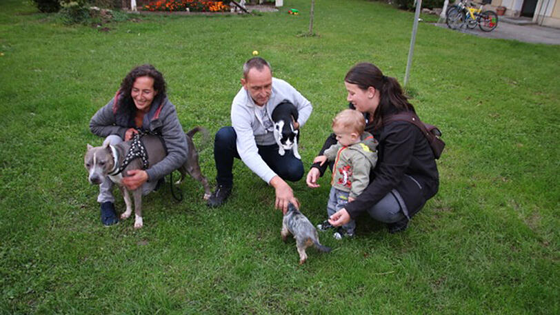 Fida im Kreis ihrer Familie und Freunde. Wenn alle um sie rum sind, fühlt die Hündin sich am wohlsten.