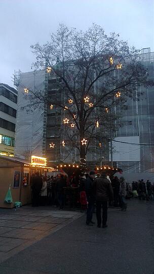 Mit den passenden Sternen wird auch ein normaler Baum zum Weihnachtsbaum.