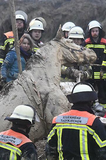 Die Feuerwehr Taufkirchen hat am Sonntag einen ungewöhnlichen Einsatz souverän erledigt: Das im Matsch versunkene Pferd wurde unversehrt gerettet.