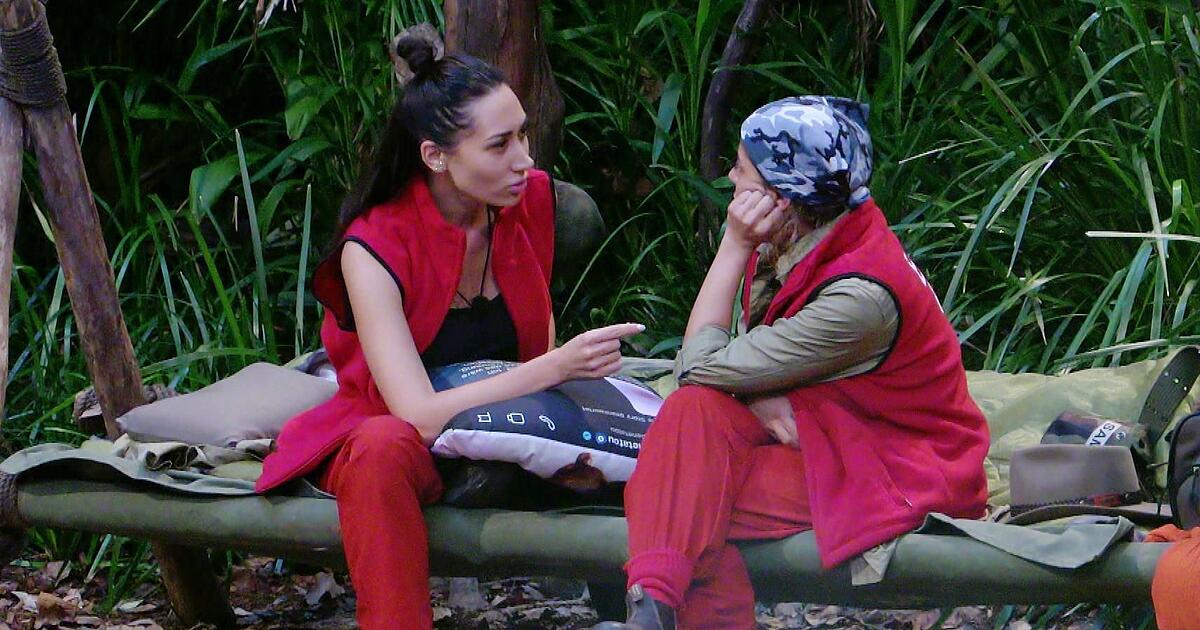 Dschungel-Samira-trifft-auf-Serkans-Aff-re-Eva-K-nnte-drauf-losheulen-