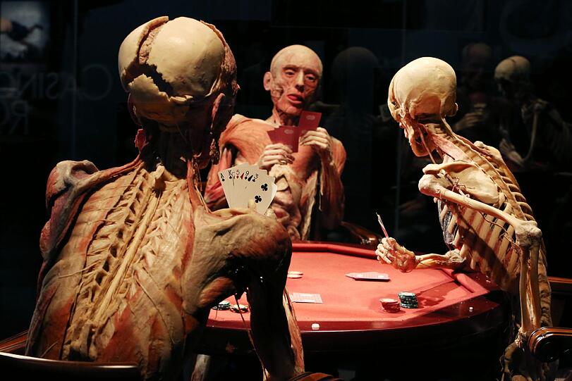 Dieses Trio war bereits im James-Bond-Film &bdquo;Casino Royale&ldquo; zu sehen.