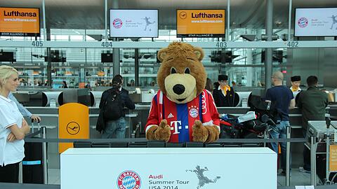 Maskottchen Berni freut sich auf die US-Tour des FC Bayern. (Archivbild)